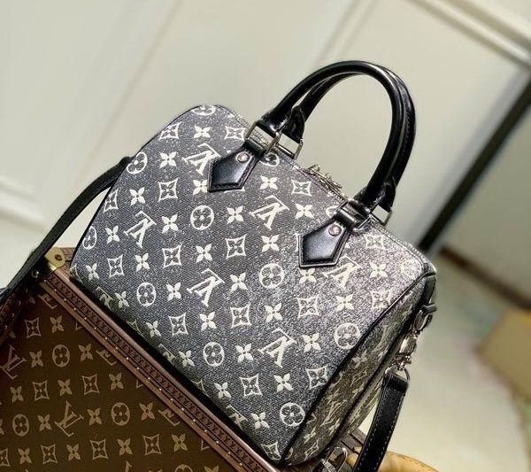 LV Replica Bags Cruise M21464 25x19x15cm gf