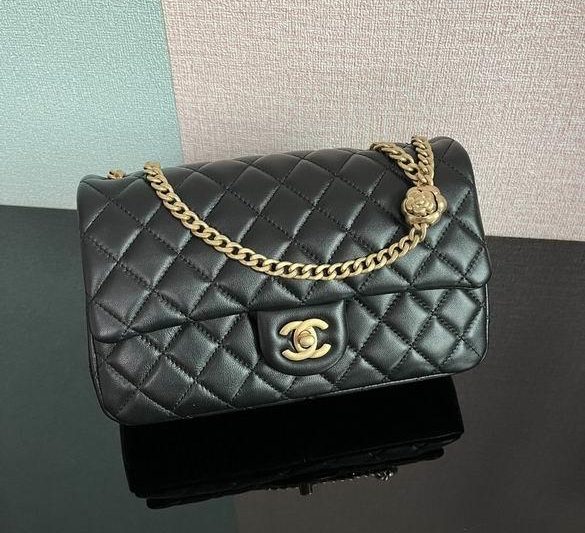 Chanel Replica Bags AS4064 23cm BL 4colour