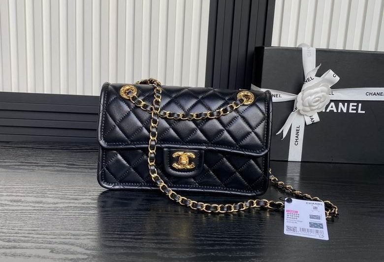 Chanel Replica Bags AS5225 15.5X24.5X7cm BL 2colour