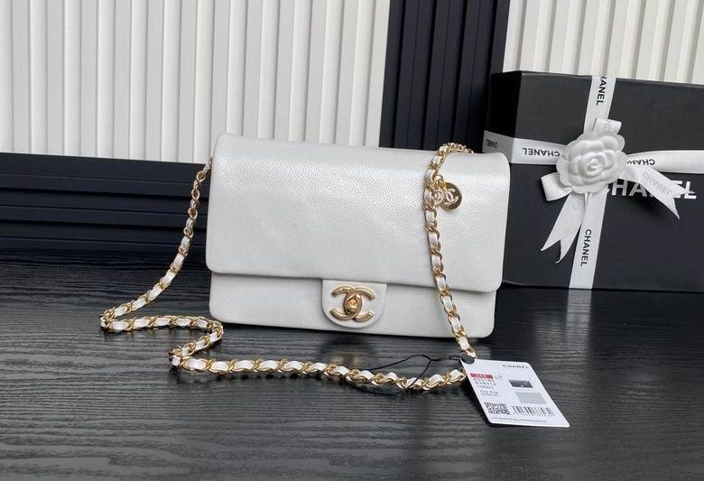 Chanel Replica Bags AS5186 15X23X8cm BL