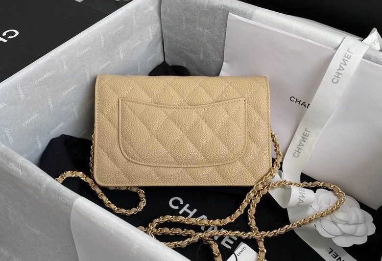 Chanel Replica Bags ap0250 19cm BL