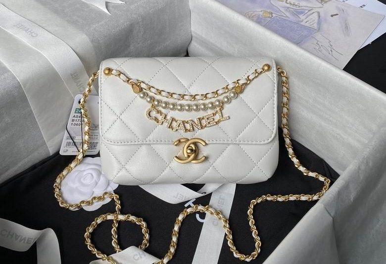 Chanel Replica Bags AS4986 19X8X13.5cm BL 3colour