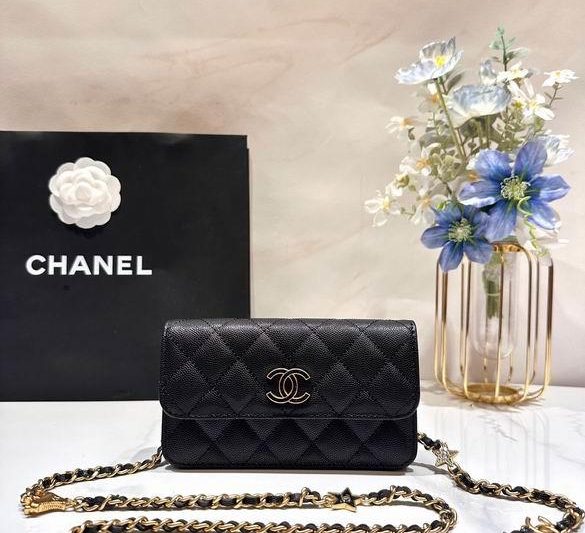 Chanel Replica Bags 3695 17cm BL 2colour