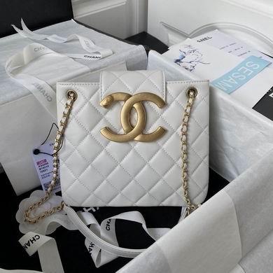 Chanel Replica Bags AS4596 17.5X20X5cm BL 2colour