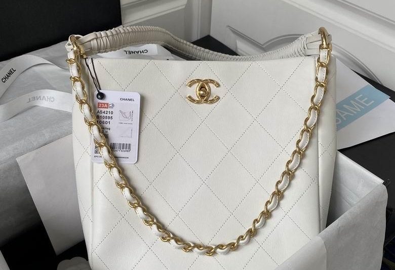 Chanel Replica Bags AS4210 26X25X7.5cm BL-1