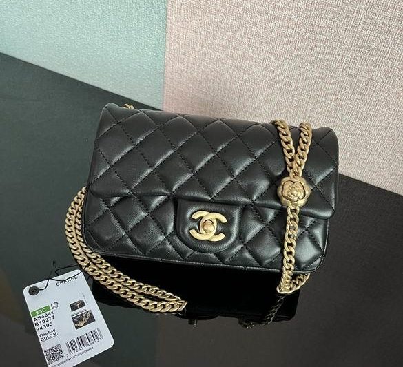 Chanel Replica Bags AS4041 20cm BL 1