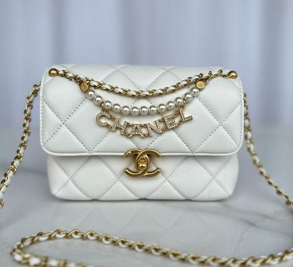 Chanel Replica Bags AS4986 19X12.5X8cm BL 2