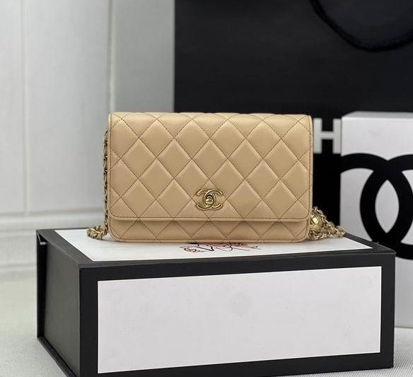 Chanel Replica Bags AP1450 19.5X12.5X3.5cm BL 2