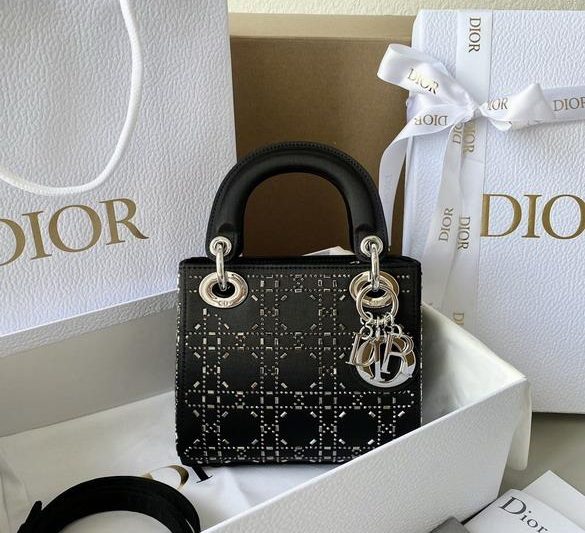 Dior Replica Bags Dior 1004 17x15x7cm wz