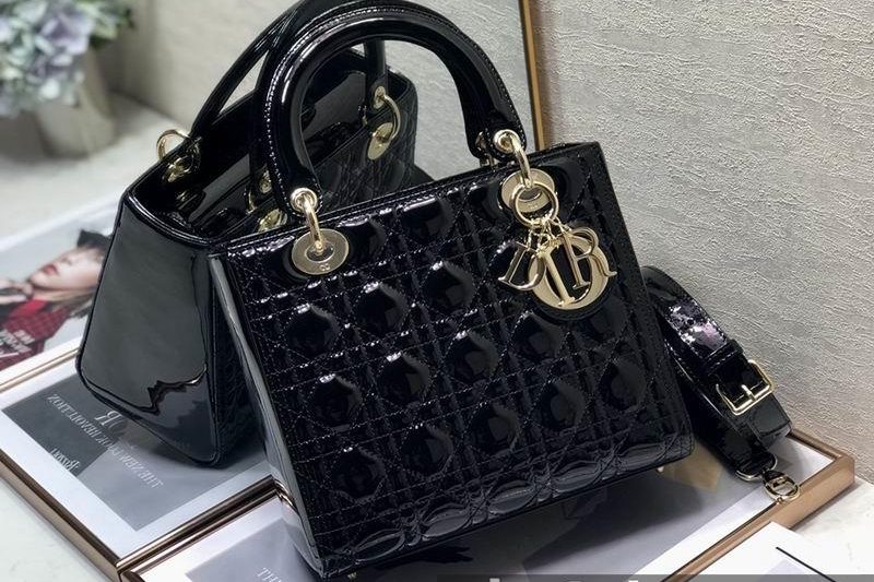 Dior Replica Bags DIOR 2242A 24cm yz4