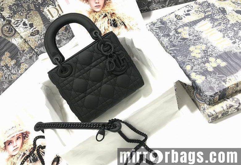 Dior Replica Bags BNM0505 17X15X7