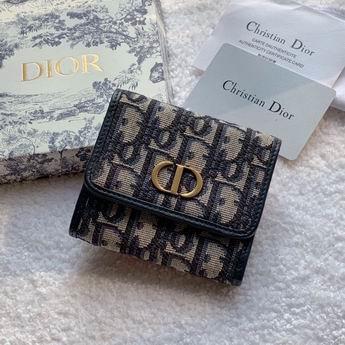 Dior Replica Bags BLS2057 10X8.5X2