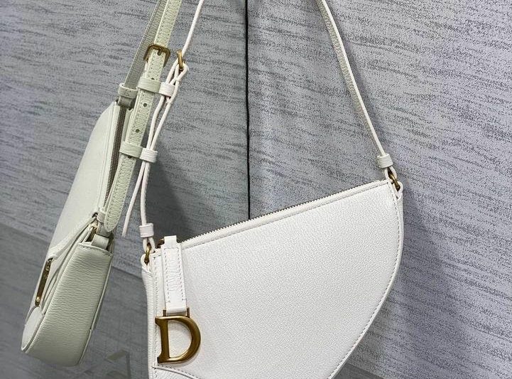 Dior Replica Bags Dior 19.5×4.5x16cm wz4