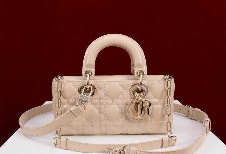 Dior Replica Bags Lady M0541 22X12X6.5cm BG 10