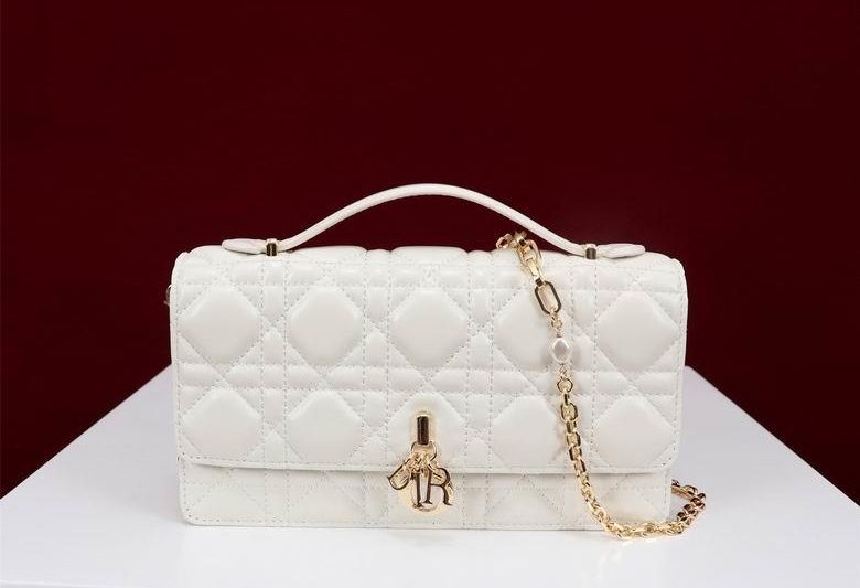 Dior Replica Bags Lady 098014 21X11.5X4.5cm BG 10