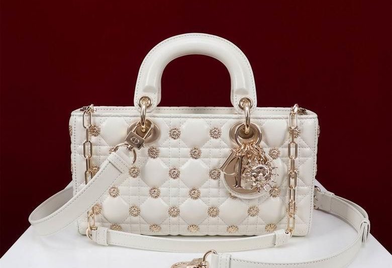 Dior Replica Bags 051305 BG 2